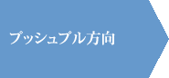 プッシュプル方向